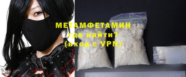 индика Сатка