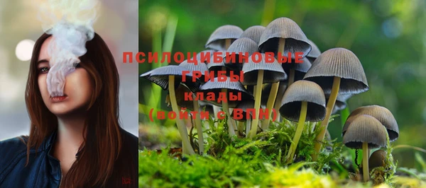 спайс Бугульма