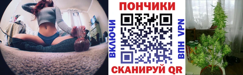 гидра зеркало  Абакан  Бошки марихуана OG Kush 